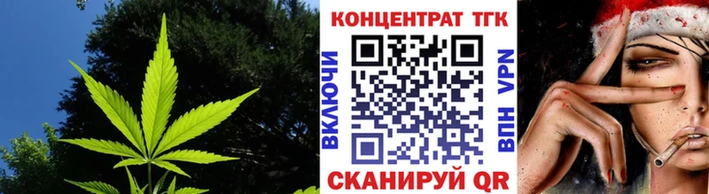 ТГК Wax  Орск 