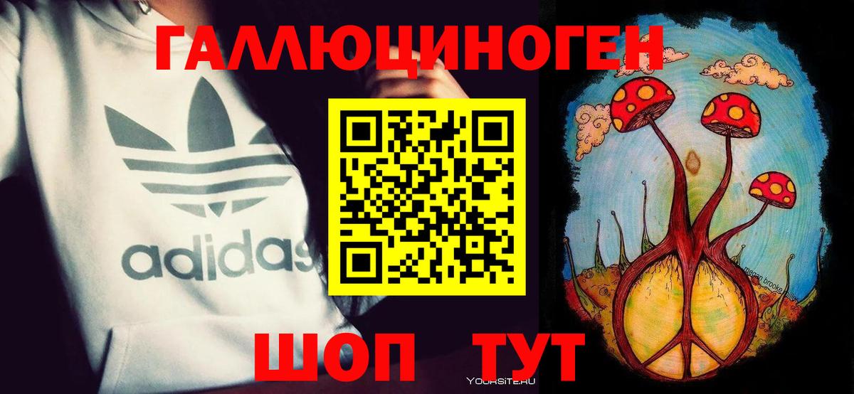 Псилоцибиновые грибы Psilocybe Орск