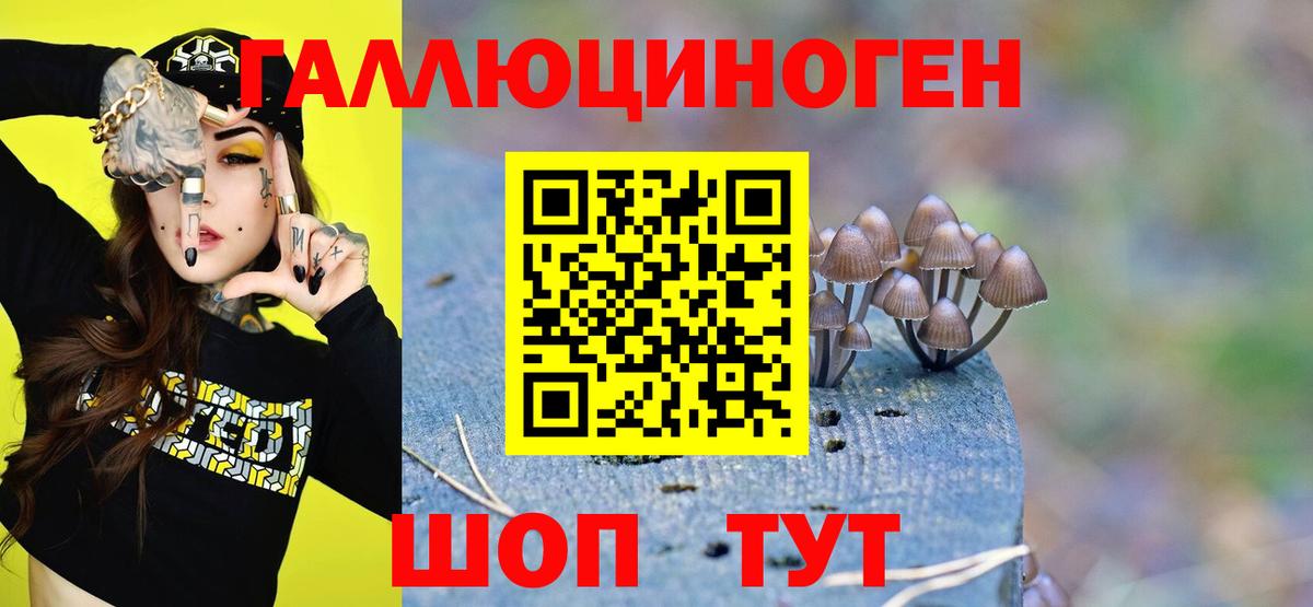 Галлюциногенные грибы мицелий  Вход с VPN  Орск 